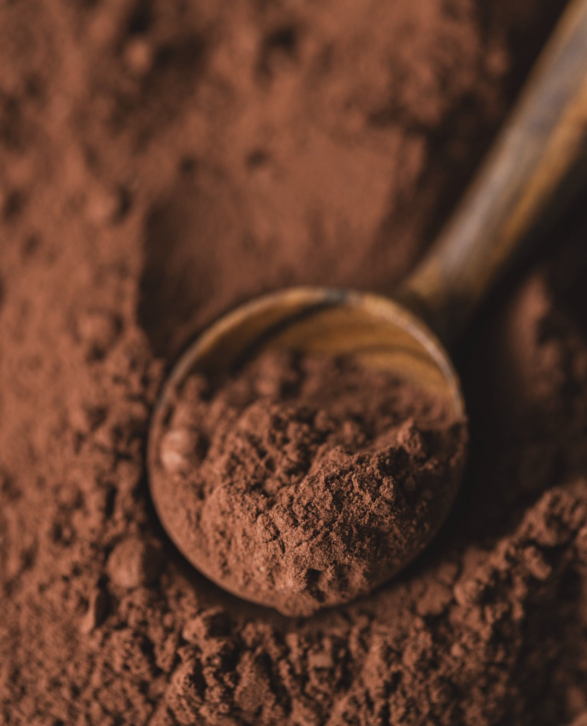 rauwe cacao poeder