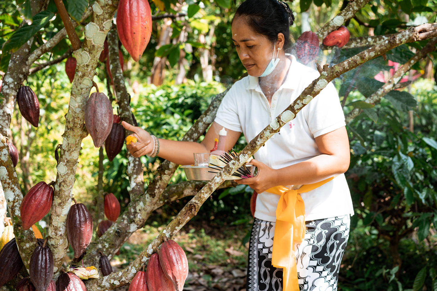Cacaowonder ceremoniële cacao blok 120 gram